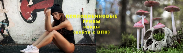 spice Карпинск
