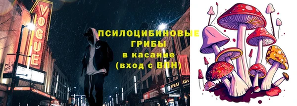 spice Карпинск