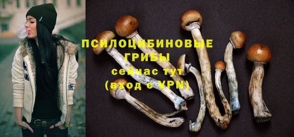 spice Карпинск