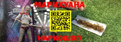 индика Новодвинск