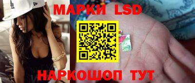 индика Новодвинск