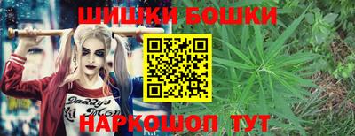 индика Новодвинск