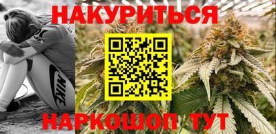 индика Новодвинск