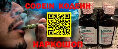 индика Новодвинск