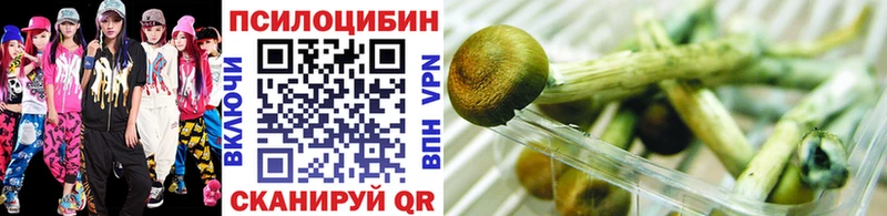 где продают   Радужный  Галлюциногенные грибы Magic Shrooms 