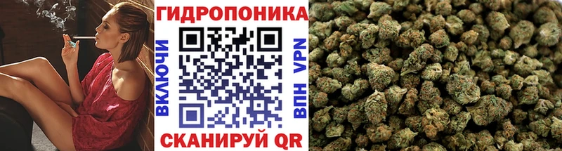 OMG вход  Радужный  Шишки марихуана SATIVA & INDICA 