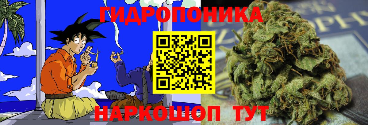 Бошки Шишки тримм  Вход с VPN  Радужный  Канабис SATIVA & INDICA 